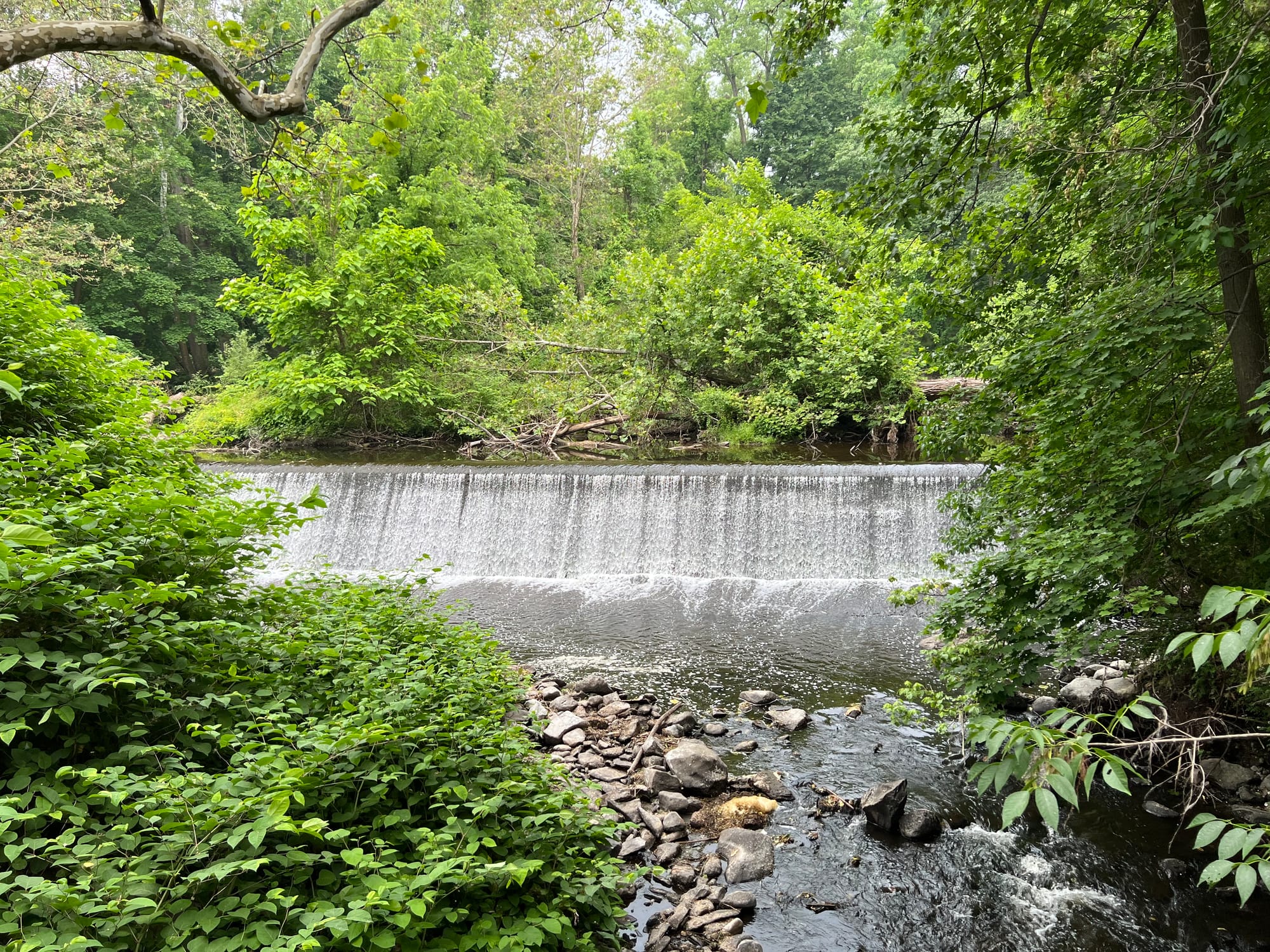 Quassaick Creek Restoration: A Big Step Forward with New Grant